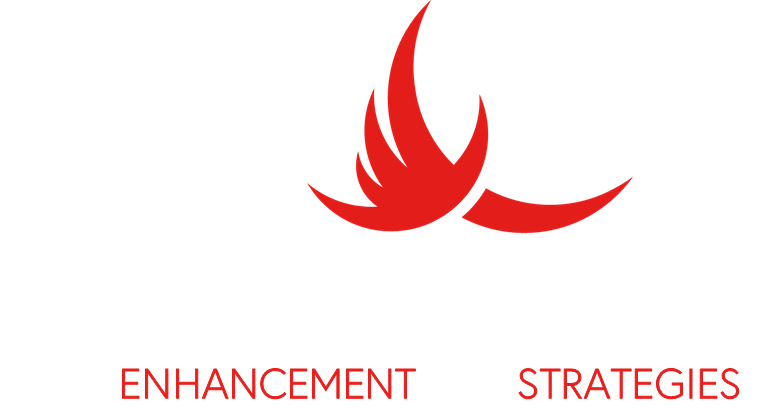 Palagn Enhancement Strategies